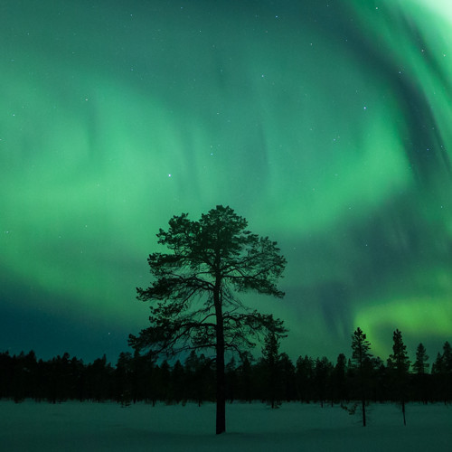 MiGuidi  Mi Guidi TOP: Caccia all'Aurora Boreale